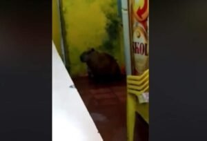 Foto de 2018
